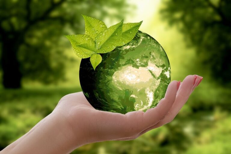 Aké kroky v oblasti environmentálnej udržateľnosti podnikol TARGET? Ekologické aktivity